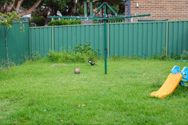 Backyard before re-mulching